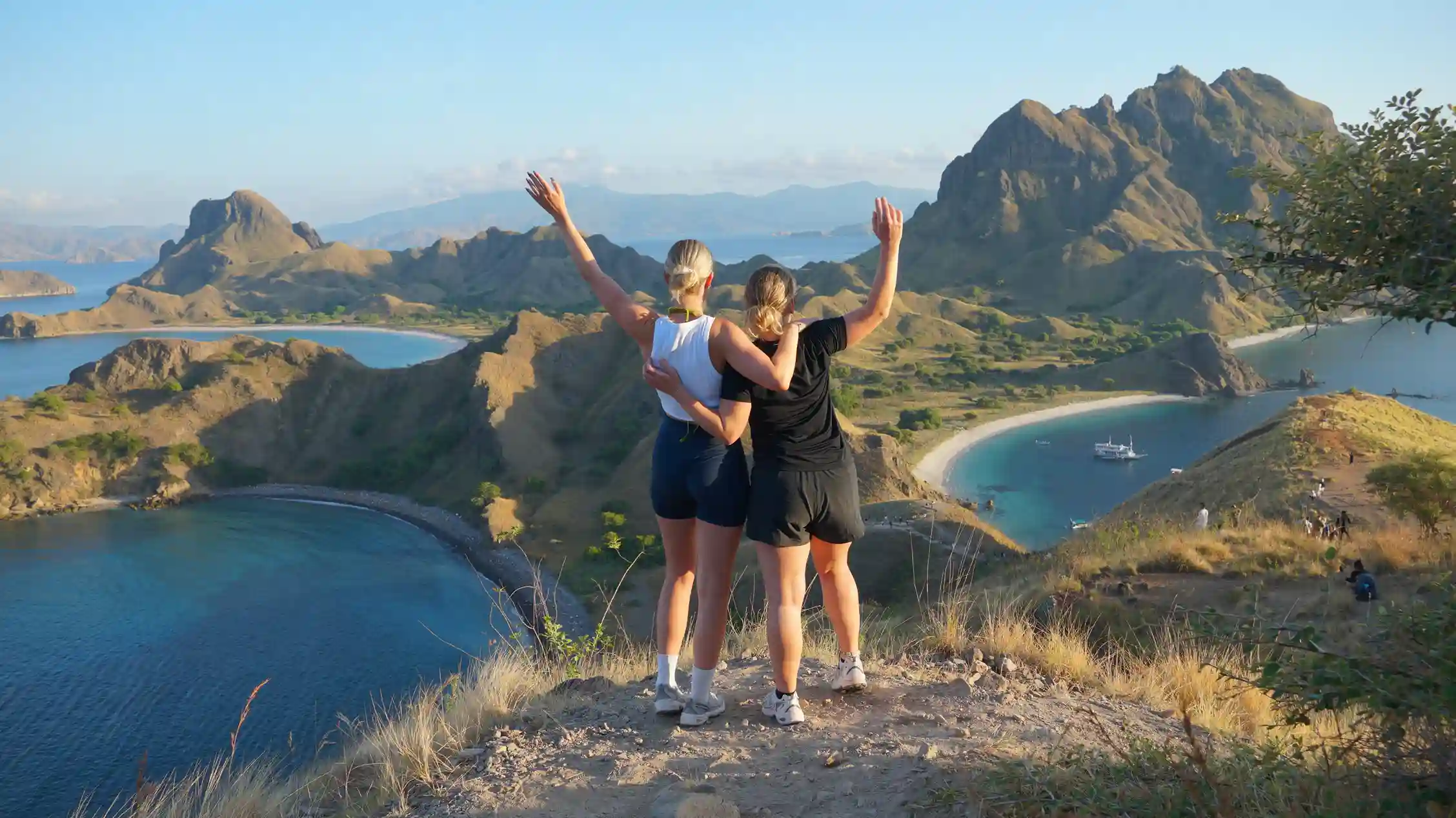 Komodo Dragon on Komodo National Park, Komodo Island, Labuan Bajo | Komodo Luxury